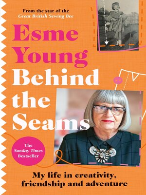 Behind the Seams - ebook